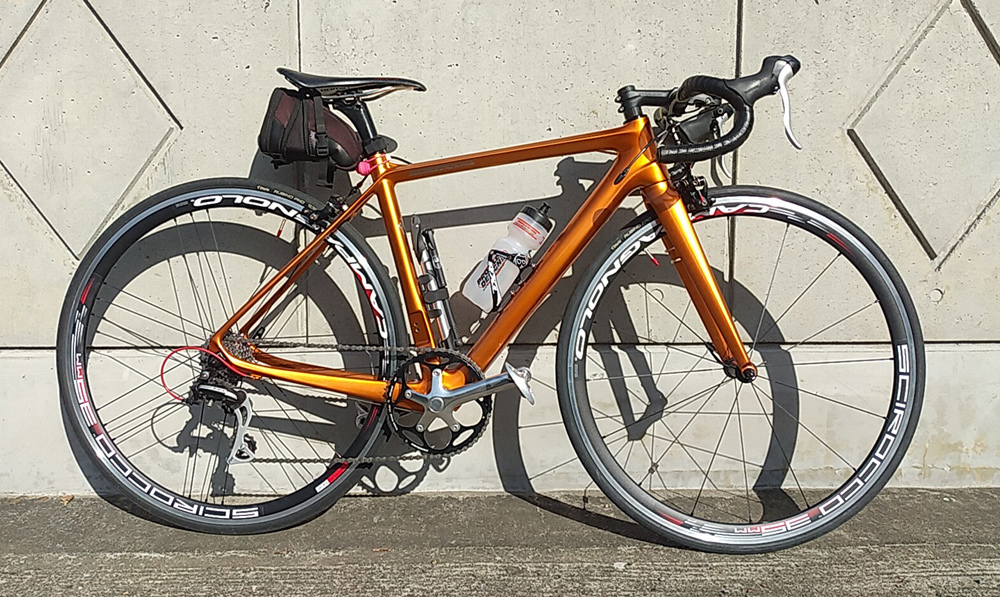 VeloBuild VB-R-16、塗装と組み付けが終わったのでうp。_d0130115_15385858.jpg