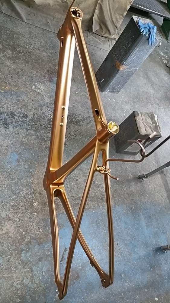 VeloBuild VB-R-16、塗装と組み付けが終わったのでうp。_d0130115_15544405.jpg