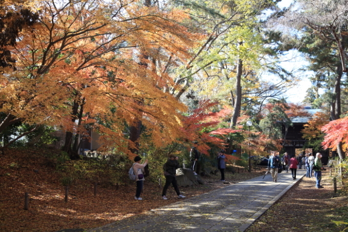 2019年紅葉旅⑬松戸市・東漸寺その２_f0229832_08562325.jpg