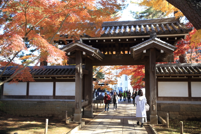 2019年紅葉旅⑬松戸市・東漸寺その２_f0229832_08565361.jpg