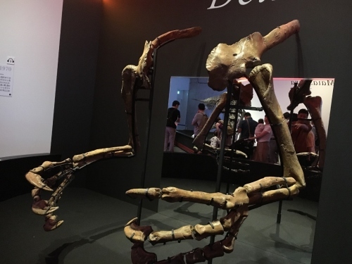 カムイサウルス~わくわく^^恐竜博’19_e0326953_11520666.jpg