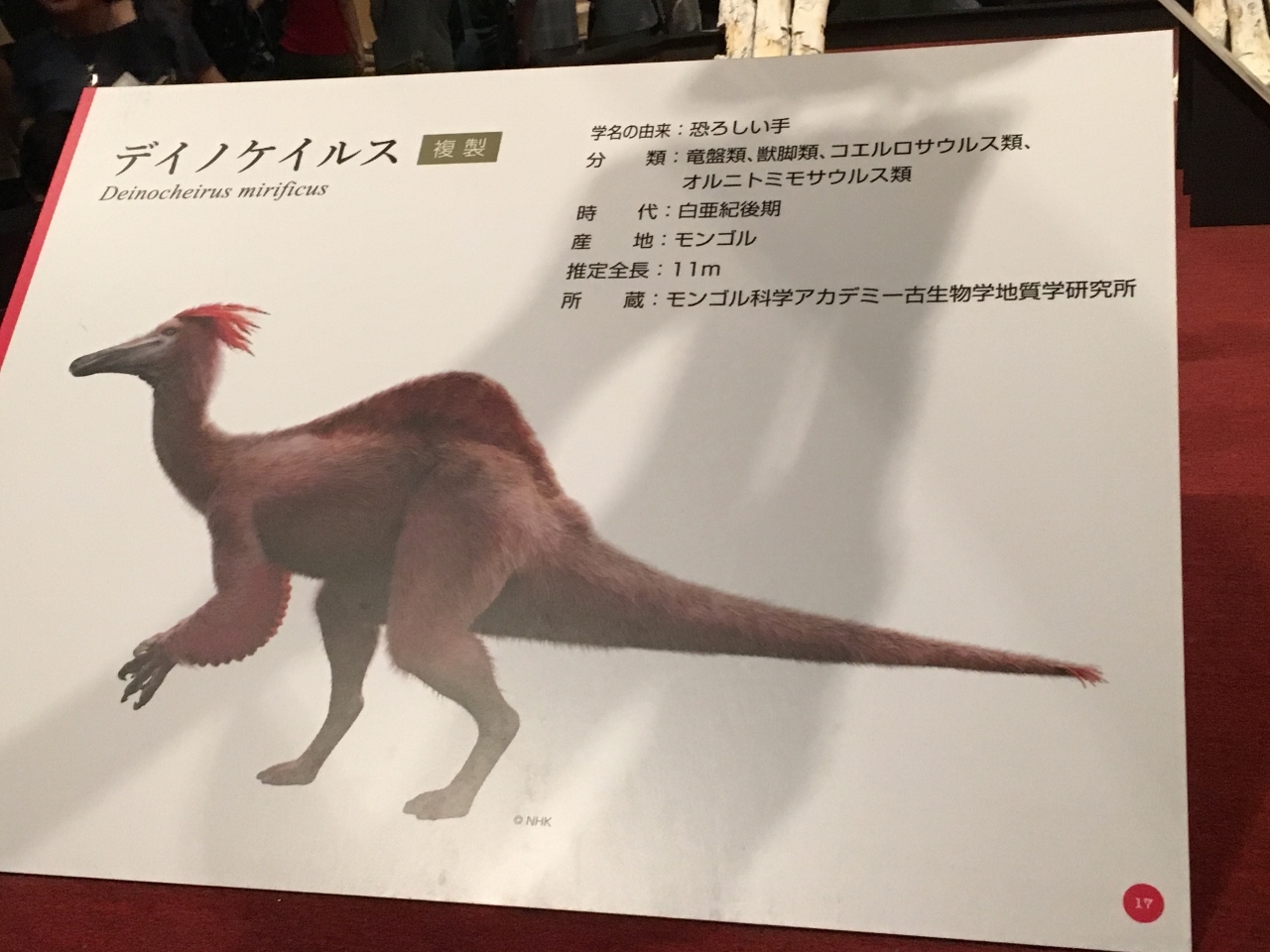 カムイサウルス~わくわく^^恐竜博’19_e0326953_12062879.jpg