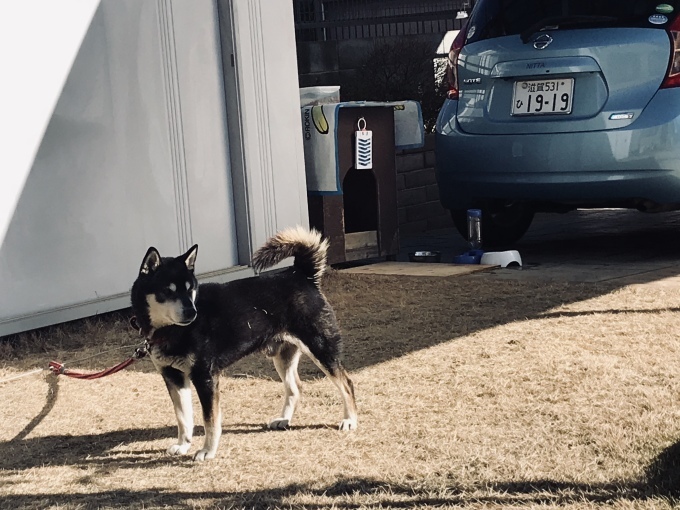 仕事納めと迎春準備_b0100062_12170651.jpeg