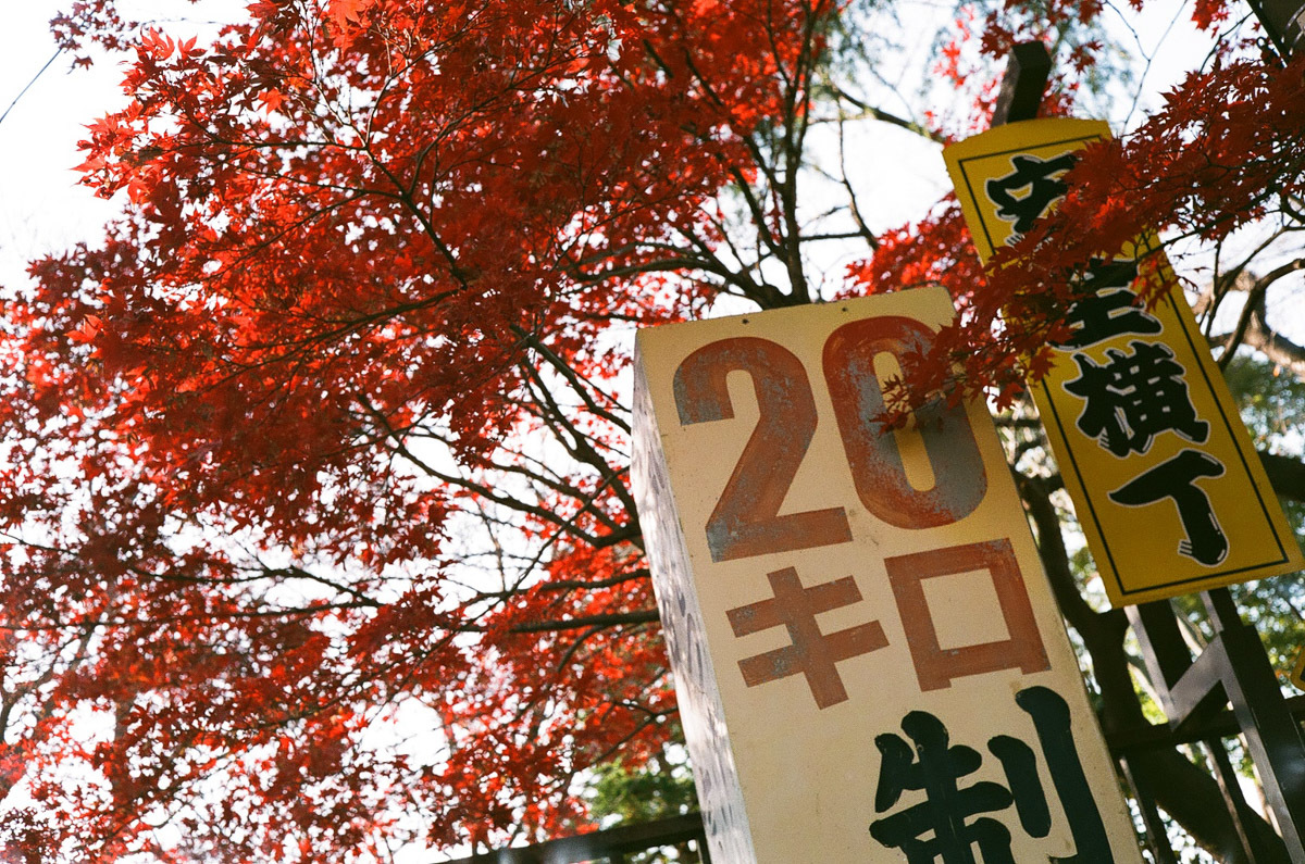 年の初めは旧ロゴで_c0084666_10175709.jpg