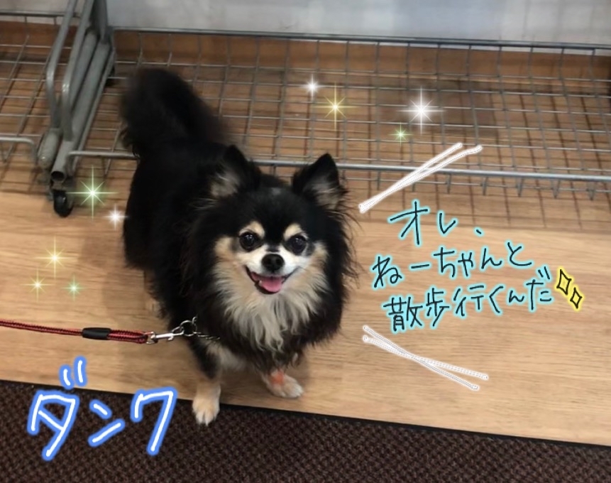 寒くても、元気💪_f0357682_02280576.jpg