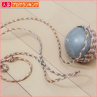オーナメントの悲劇_a0389088_15340334.jpg