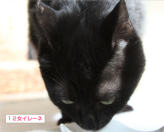 北からの贈り物_a0389088_15591412.jpg