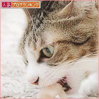 北からの贈り物_a0389088_15591416.jpg