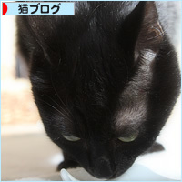 北からの贈り物_a0389088_15591458.jpg