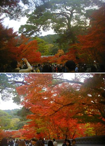 ●紅葉の永観堂、その1_d0053294_01075035.jpg