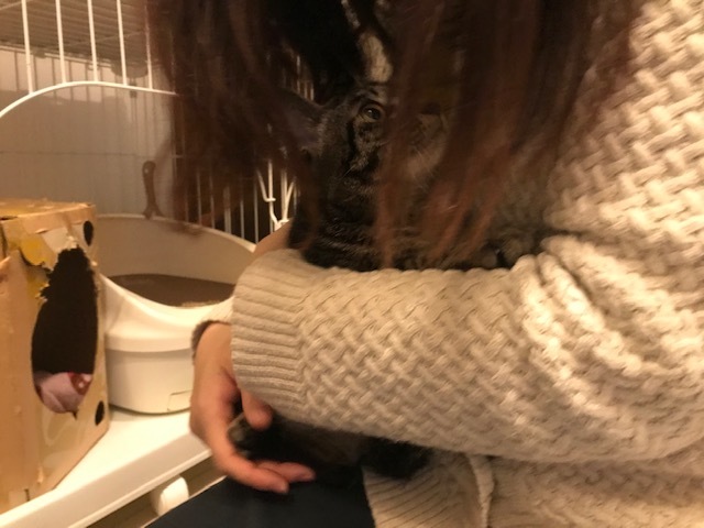 とろろちゃん 新生活スタート!_f0242002_13301578.jpg