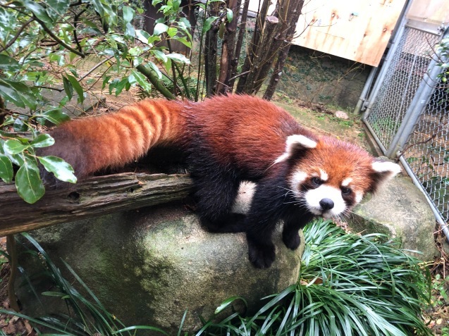 12月から・・・_c0290504_18475732.jpg
