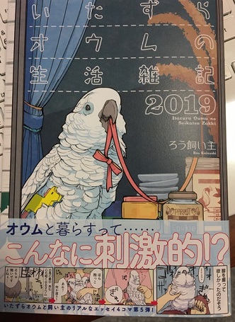 いたずらオウムの生活雑記2019_e0221338_19111931.jpg