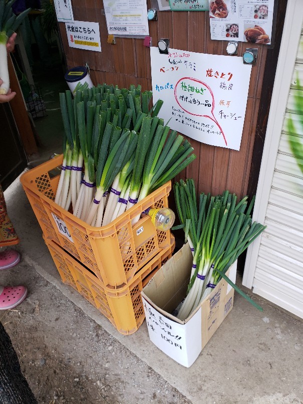 おさるの白ねぎ屋でお昼ご飯(東広島市)_a0105740_14025944.jpg