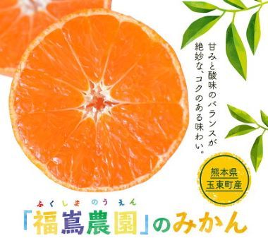 どんこの調子と、ふるさと納税_e0234741_13242108.jpg