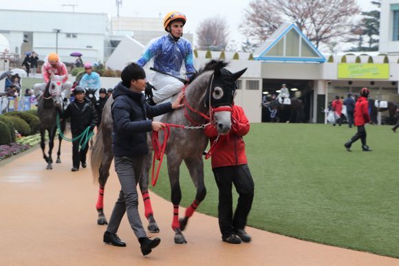 中山競馬場へ_e0234741_16225833.jpg