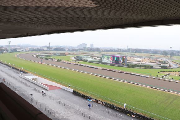 中山競馬場へ_e0234741_16225835.jpg