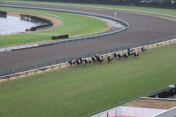 中山競馬場へ_e0234741_16225897.jpg