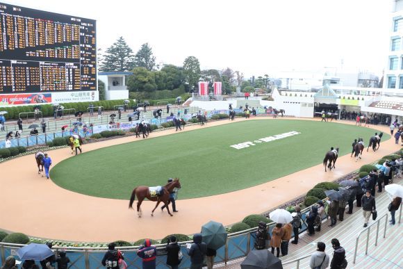 中山競馬場へ_e0234741_16311862.jpg