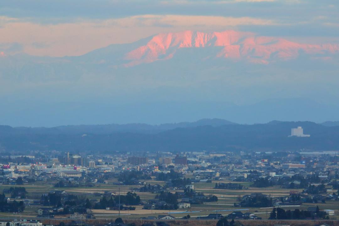 白鳥12/28_e0403850_20145854.jpg