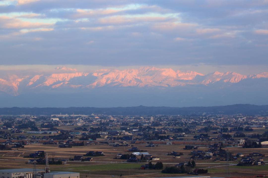 白鳥12/28_e0403850_20145870.jpg