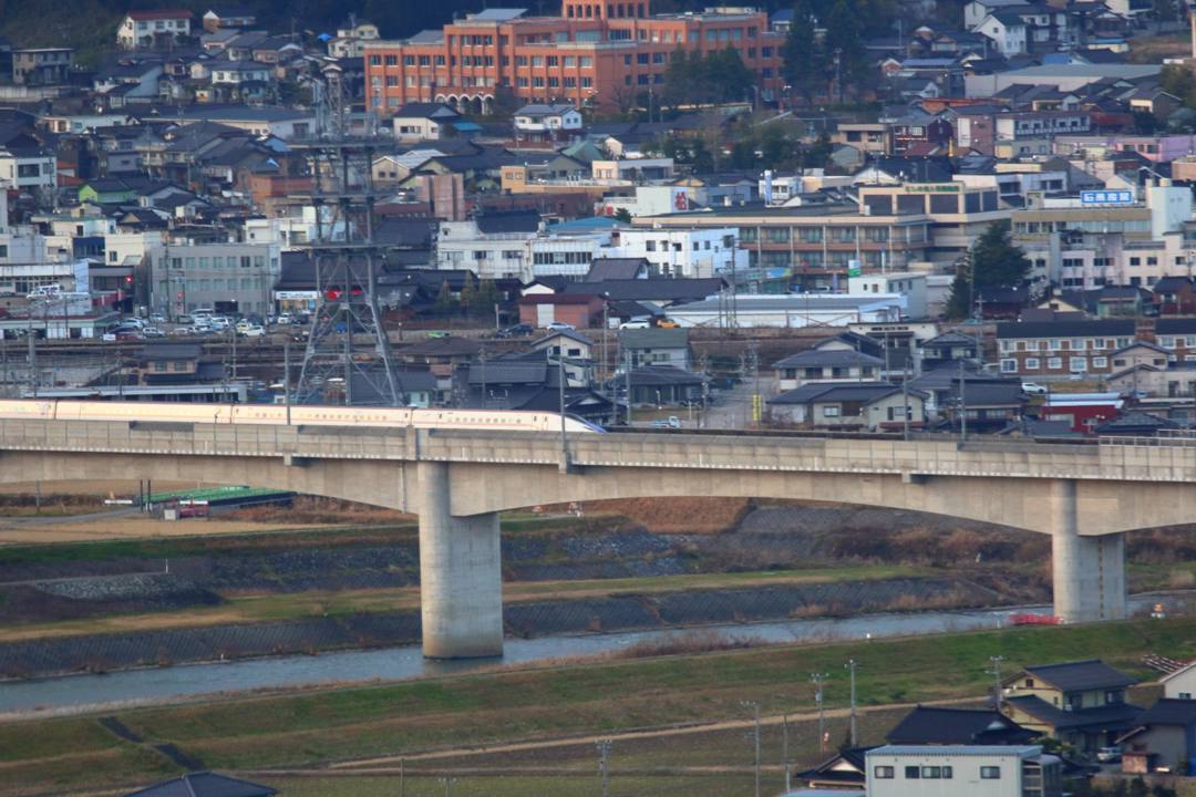 白鳥12/28_e0403850_20145875.jpg