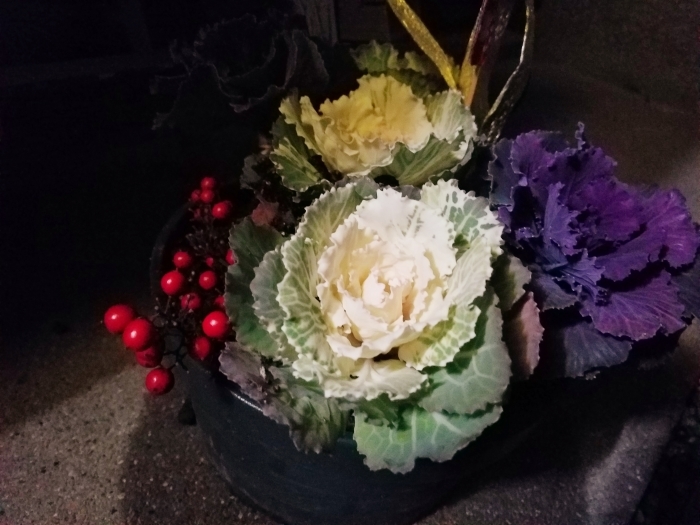 踏み納め_f0246254_23223333.jpg