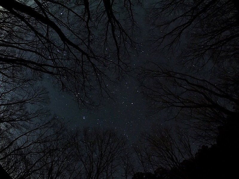 【夜景と星空の競演】赤城山オートキャンプ場_b0008655_12272880.jpg