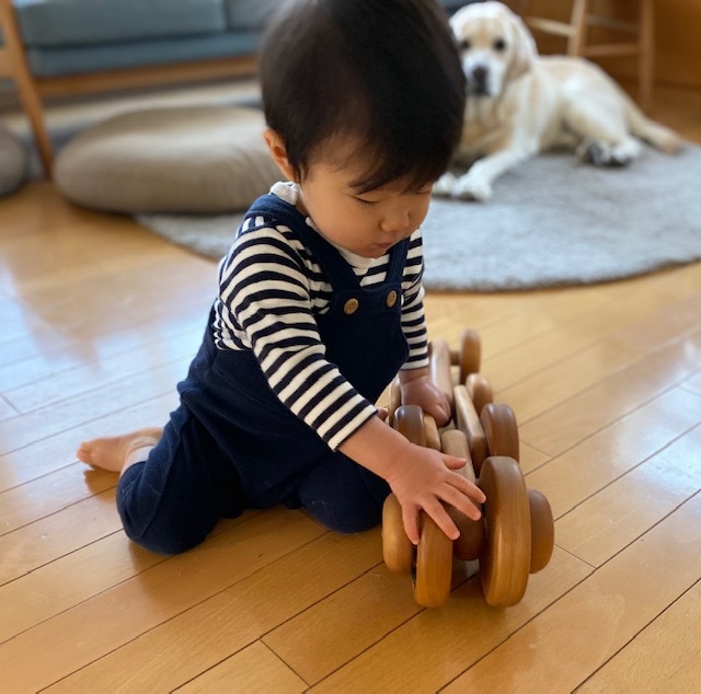 dog&boy 愛しすぎる存在 そして 健やかな成長に・・・_a0165160_17175731.jpg