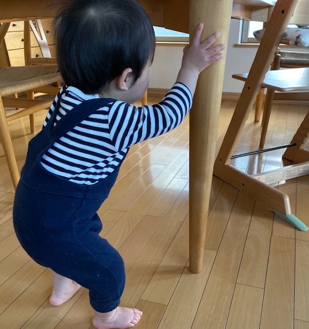 dog&boy 愛しすぎる存在 そして 健やかな成長に・・・_a0165160_17204121.jpg