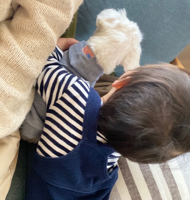 dog&boy 愛しすぎる存在 そして 健やかな成長に・・・_a0165160_17304645.jpg