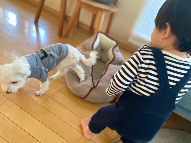 dog&boy 愛しすぎる存在 そして 健やかな成長に・・・_a0165160_17320706.jpg