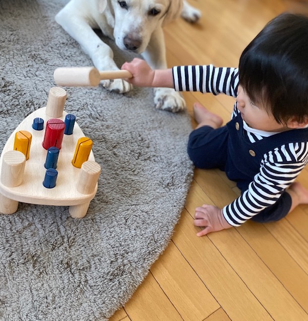 dog&boy 愛しすぎる存在 そして 健やかな成長に・・・_a0165160_17422145.jpg