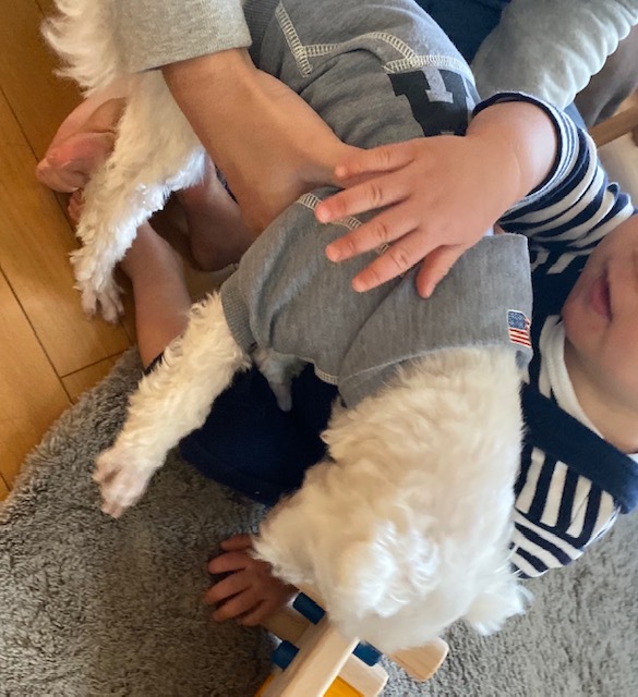 dog&boy 愛しすぎる存在 そして 健やかな成長に・・・_a0165160_17435313.jpg