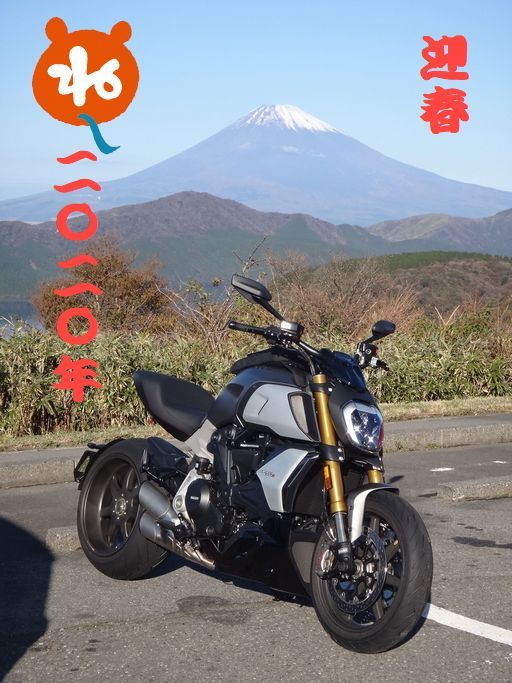 2020年 迎春_f0004270_17200685.jpg