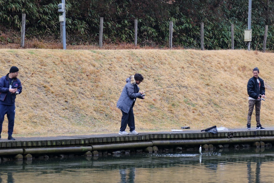 本日の新着情報_b0365177_16500956.jpg