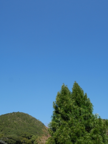 日曜日の過ごし方_f0054677_08340651.jpeg