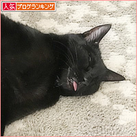 1年を振り返って_a0389088_07104945.jpg