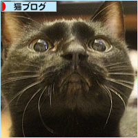 1年を振り返って_a0389088_07105066.jpg