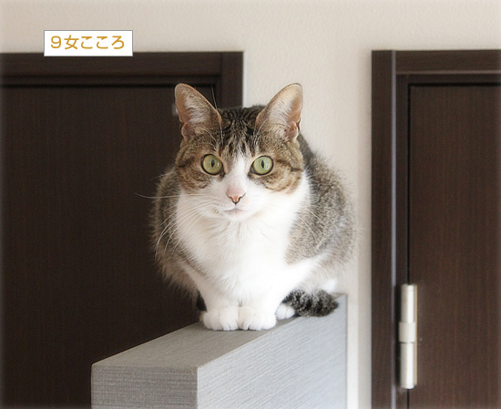 1年を振り返って_a0389088_07141544.jpg