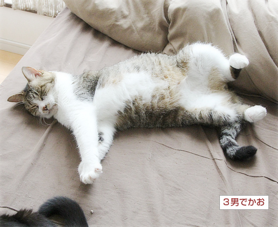 1年を振り返って_a0389088_07163938.jpg