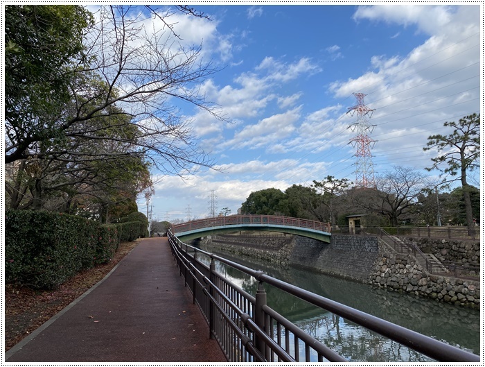 大掃除もあまりしてない、お節も作らないので、今年の筋トレ納めをしてきたよ~2019年さくらと大のお散歩写真の片付けも(*⌒∇⌒*)テヘ♪_b0175688_19314380.jpg