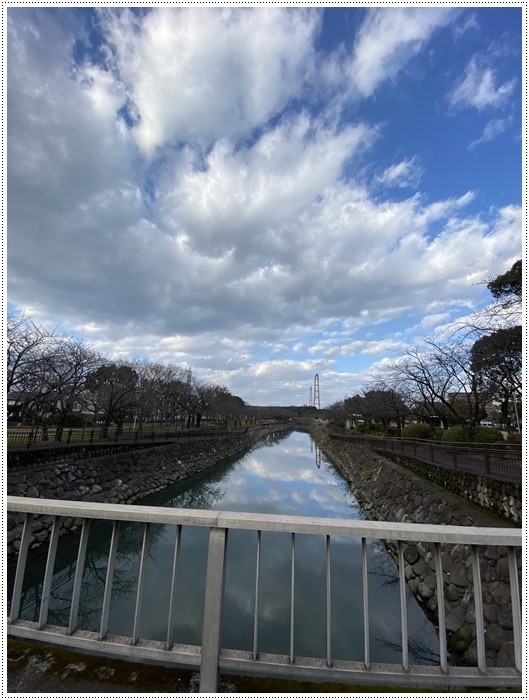 大掃除もあまりしてない、お節も作らないので、今年の筋トレ納めをしてきたよ~2019年さくらと大のお散歩写真の片付けも(*⌒∇⌒*)テヘ♪_b0175688_19315098.jpg