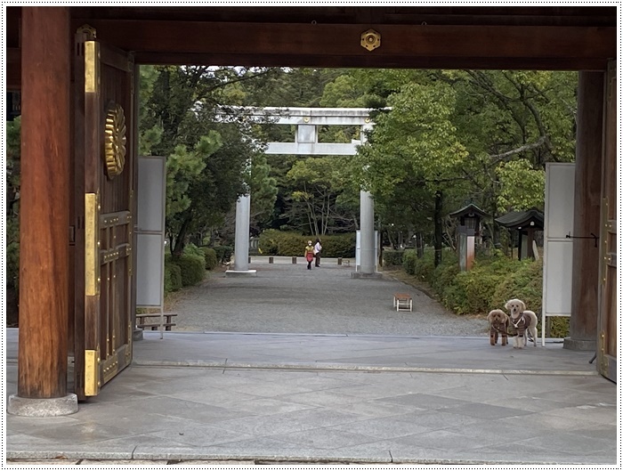 これで2019年のわんこたちの写真、全部アップできたかな。。。\\(>3(O^-)/ウフ☆_b0175688_23393421.jpg