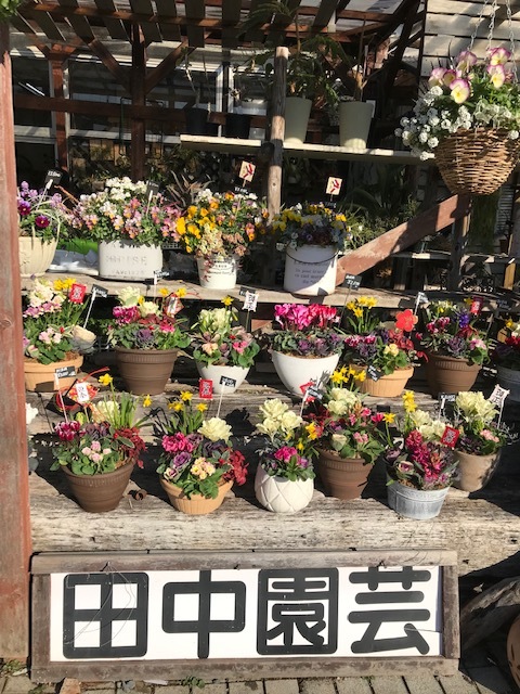 ベランダの花_f0204295_15172385.jpg