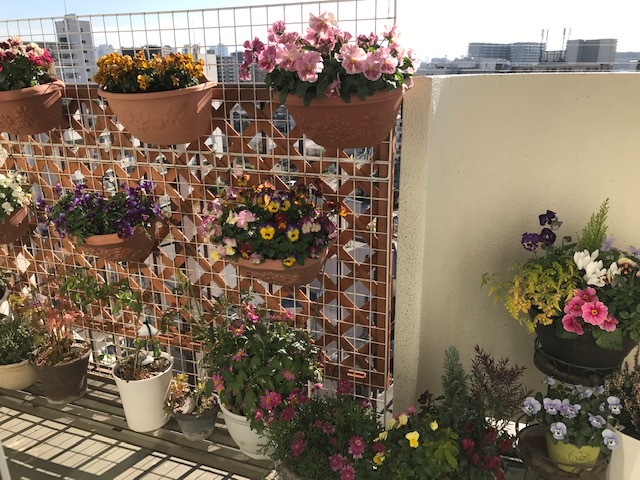 ベランダの花_f0204295_15184990.jpg