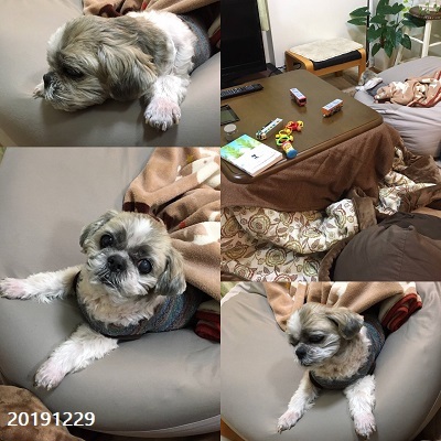 2019年ブログ納め~(^-^)_f0372998_21360909.jpg