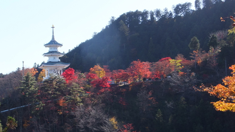 2019 年末の山散歩 まとめ_f0302214_15231397.jpg