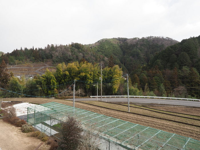 曇りのち小雨のち、お天気雪_c0116915_20464799.jpg