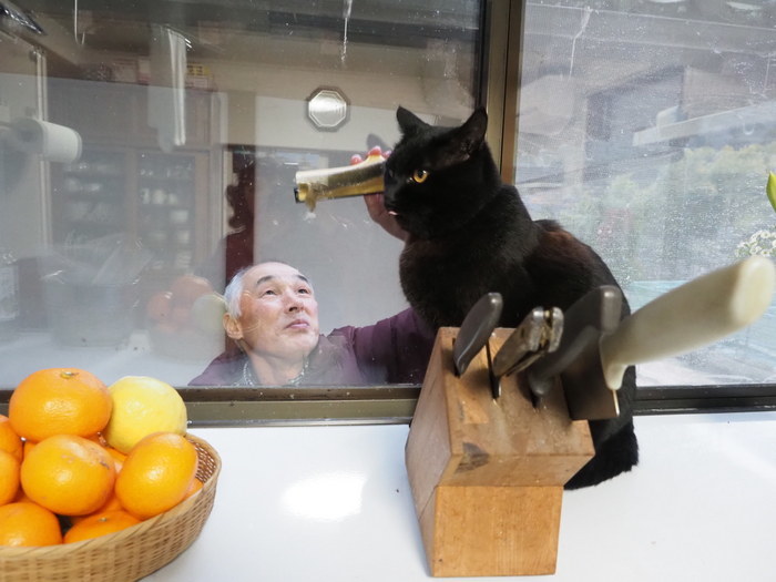 出窓のくうちゃん_c0116915_20533764.jpg